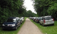 Bild: Parkende Autos im Stadtpark